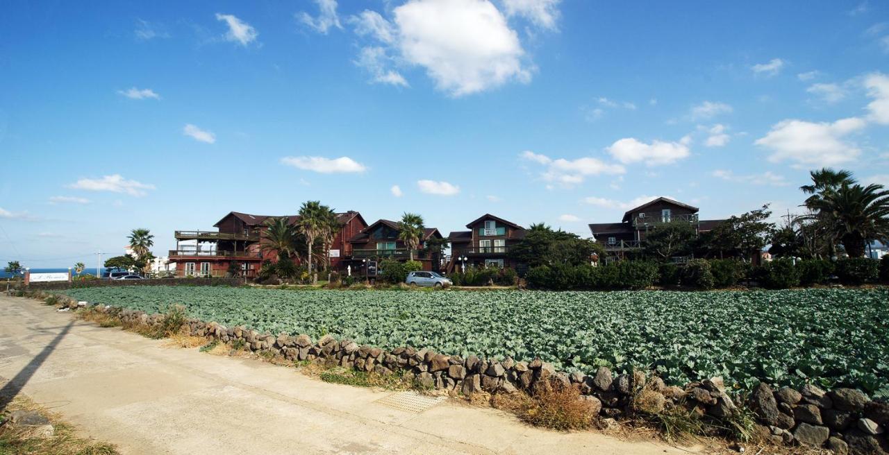 Elroman Pension Jeju Exterior photo
